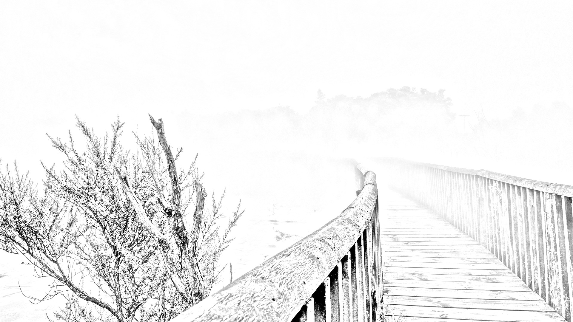 Brücke