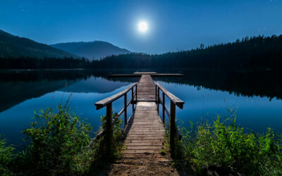 Gute Reise
